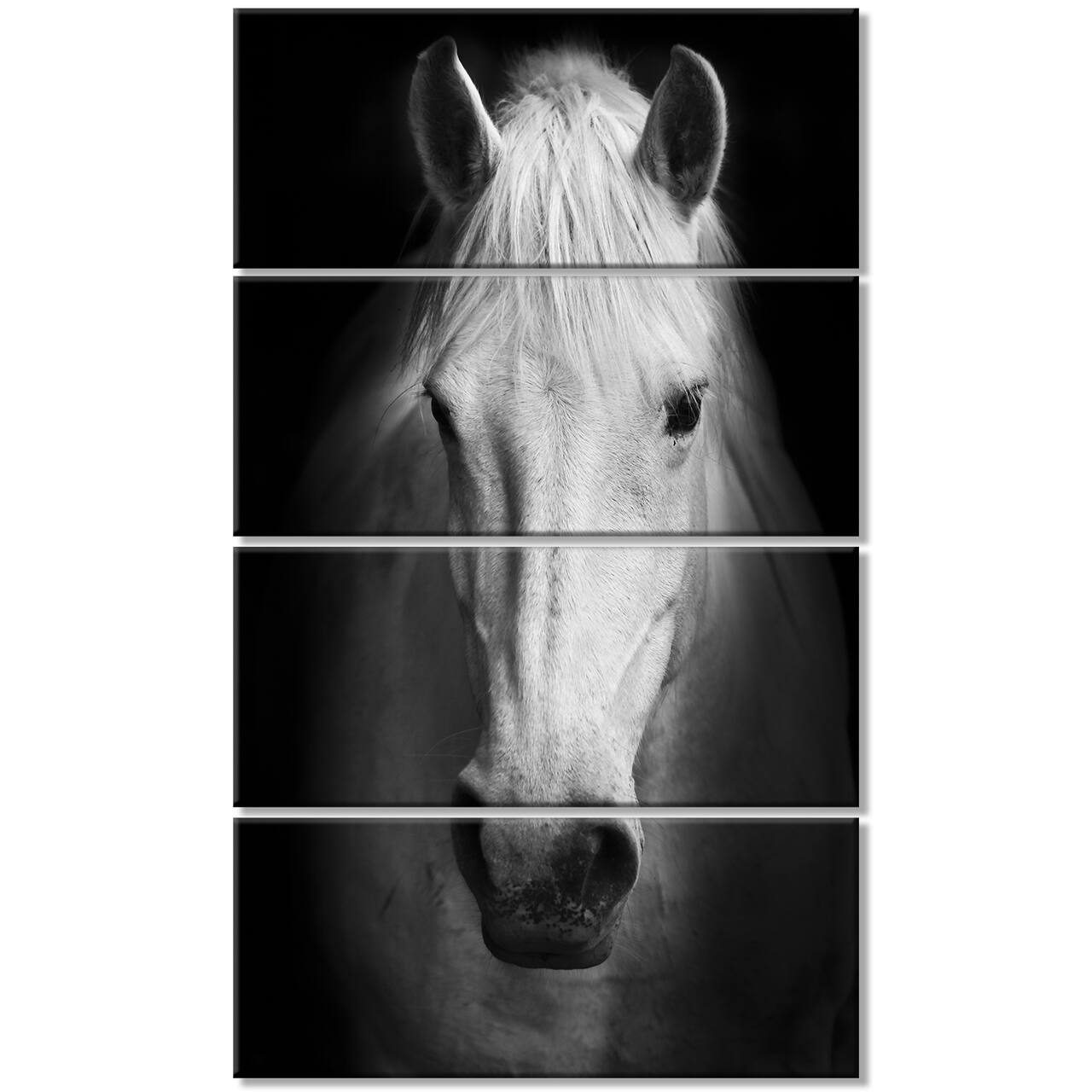 Designart - White Horse Black and White - Animal Canvas Art Print